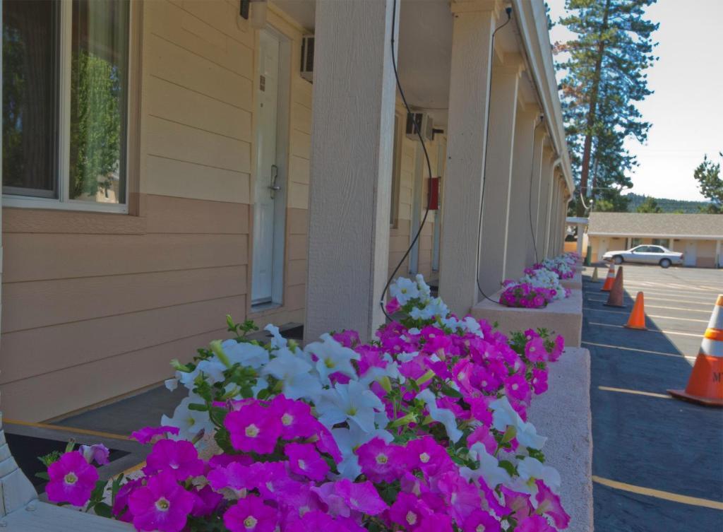 Shasta Pines Motel & Suites Burney Eksteriør bilde