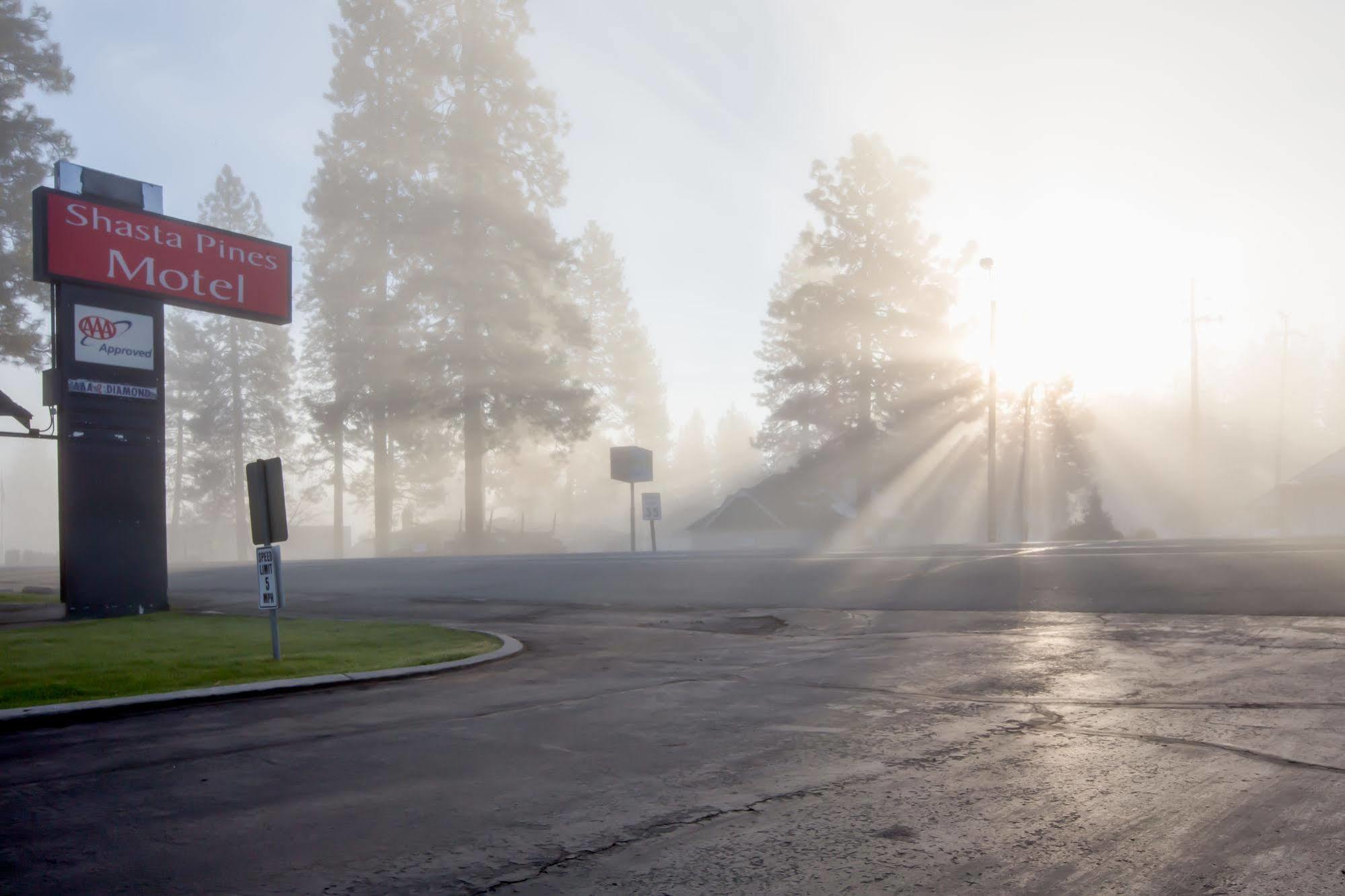 Shasta Pines Motel & Suites Burney Eksteriør bilde